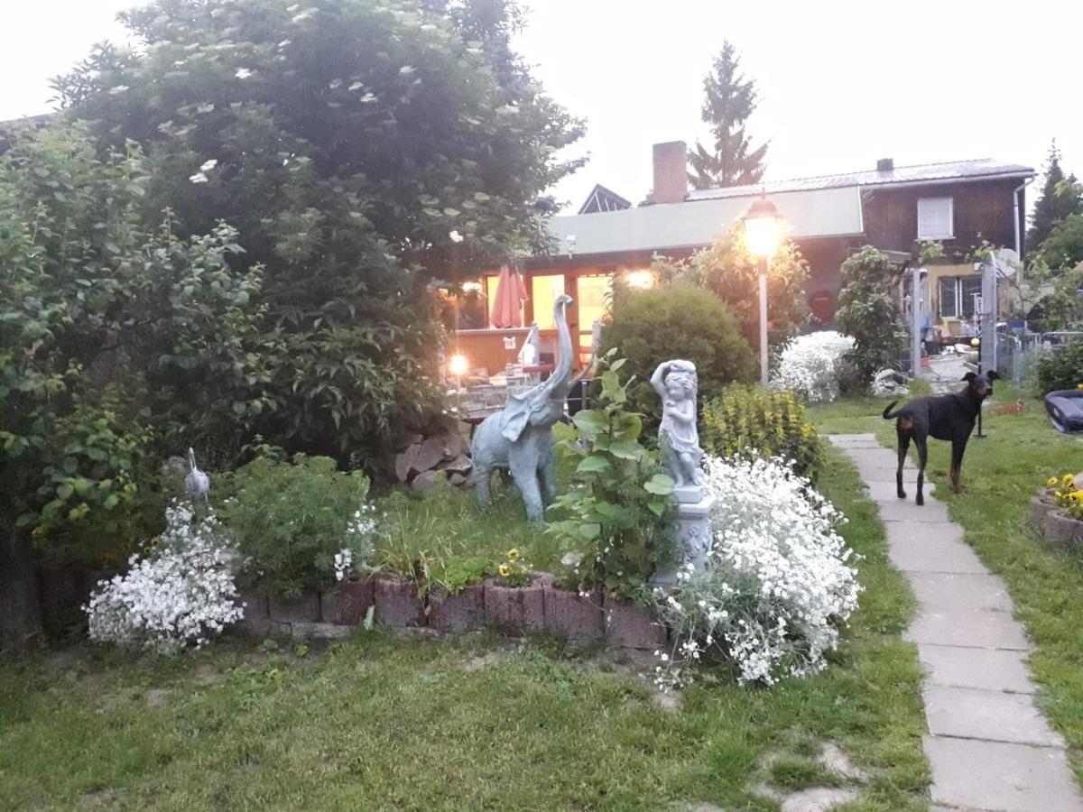 Villa Ferienhaus Schulenberg Friedrichsbrunn Exterior foto